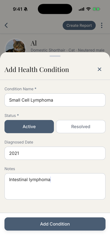 Add Health Condition form showing diagnosis name, status, and date fields